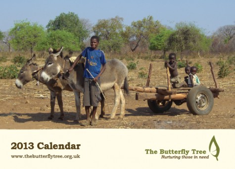 2013 Charity Calendar