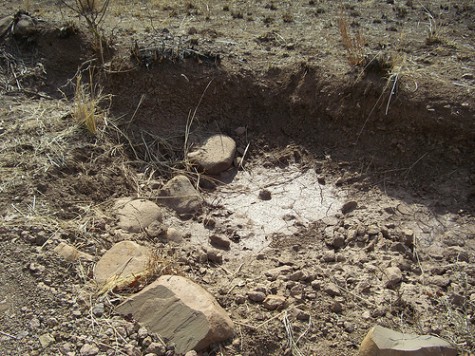 dried stream Mukuni Chiefdom